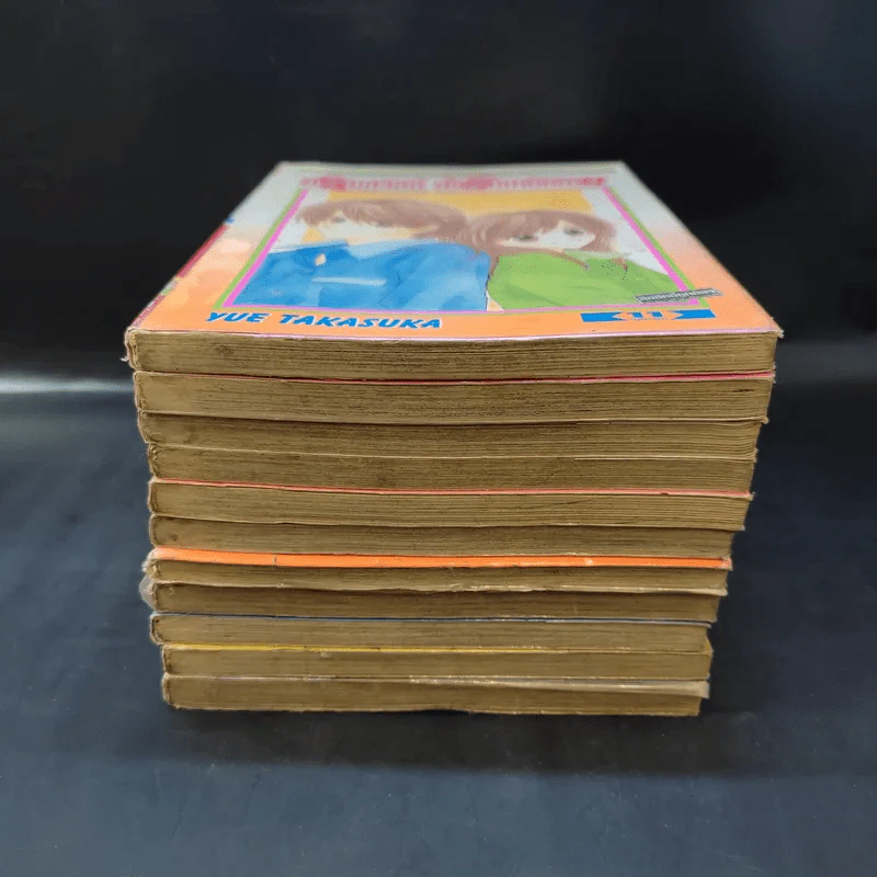 อรุณสวัสดิ์ ส่งรักมาทักทาย 11 เล่มจบ รูปที่ 3