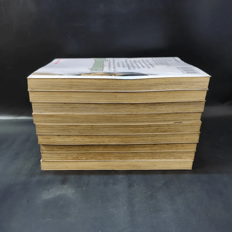 ภูติดาบสยบมาร เล่ม 1-9 รูปที่ 4