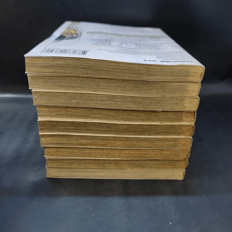 ภูติดาบสยบมาร เล่ม 1-9 รูปที่ 5