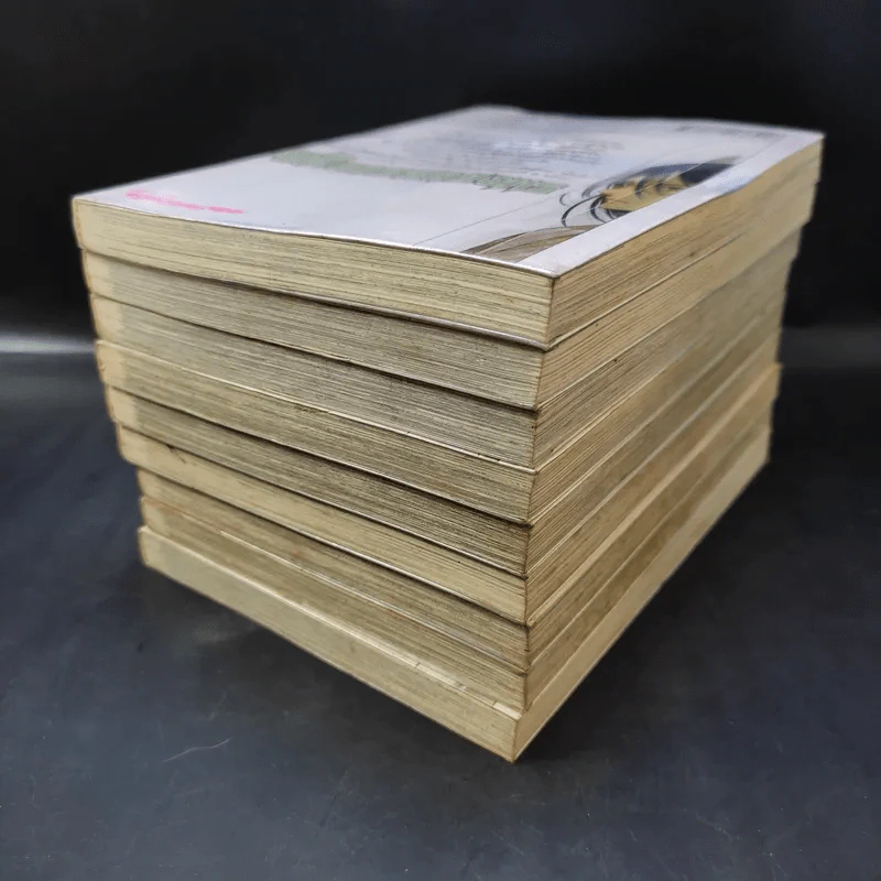 ภูติดาบสยบมาร เล่ม 1-9 รูปที่ 6