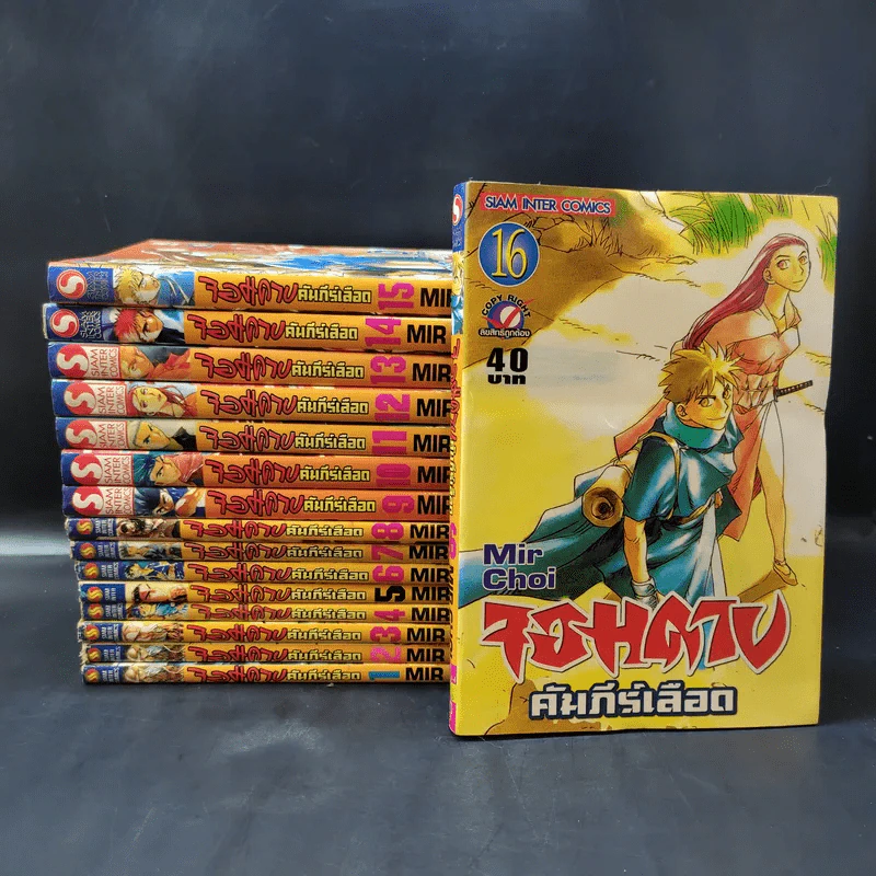 จอมดาบคัมภีร์เลือด เล่ม 1-16 รูปที่ 1
