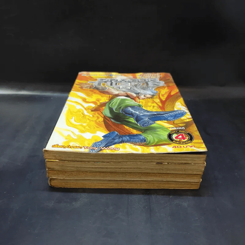 สำนักพยัคฆ์มังกร ภาค Dragon Tiger Gate 4 เล่มจบ รูปที่ 2