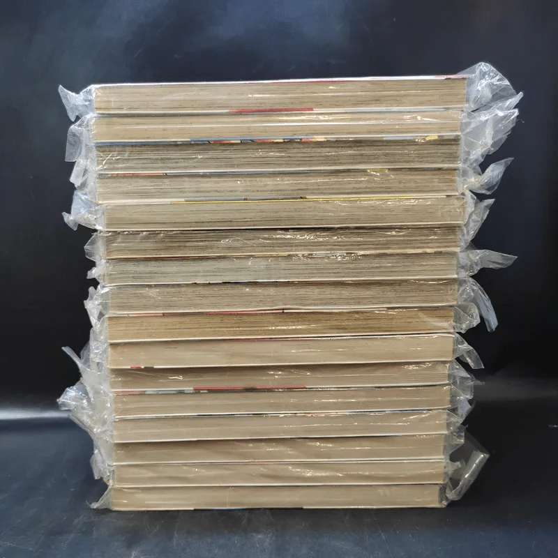 ก้าวแรกสู่สังเวียน เล่ม 4-6,11-13,33,106,108,113,111,112,115,116,117,118 รูปที่ 4