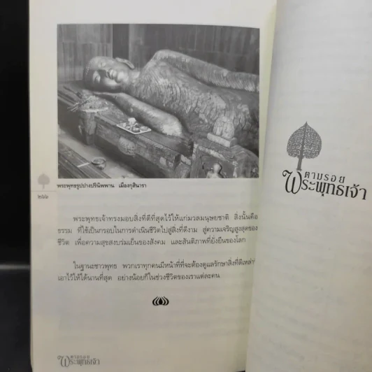 ตามรอยพระพุทธเจ้า - ลักษณา จีระจันทร์ รูปที่ 12