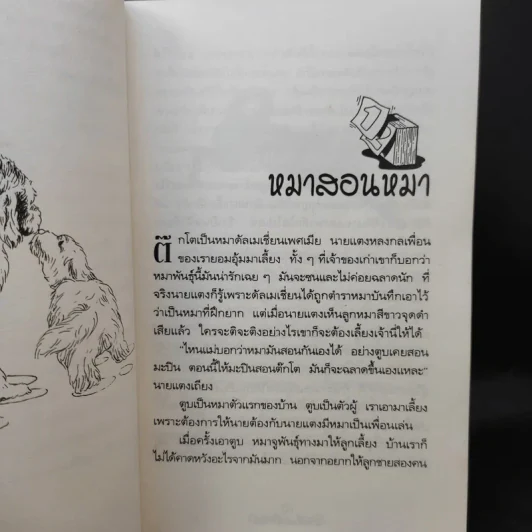 บันทึกหมอเลี้ยงหมา - พญ.ลลิตา ธีระสิริ รูปที่ 11