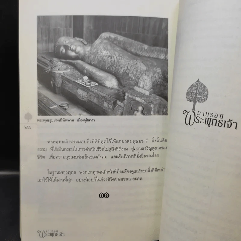 ตามรอยพระพุทธเจ้า - ลักษณา จีระจันทร์ รูปที่ 12