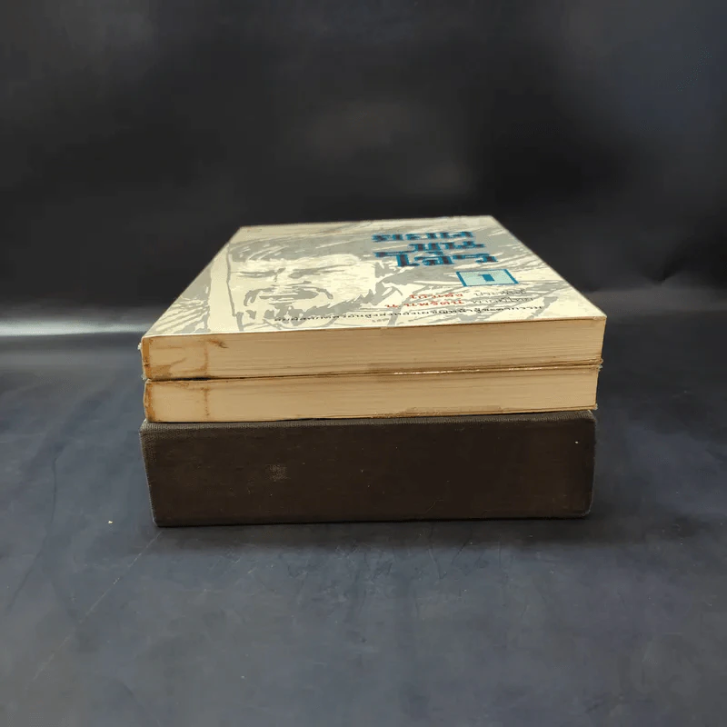ยอดขุนโจร 2 เล่มจบ Boxset - น.นพรัตน์ รูปที่ 5