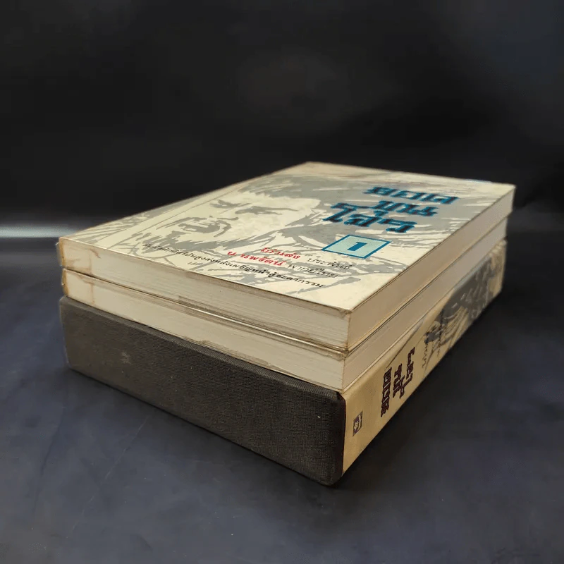 ยอดขุนโจร 2 เล่มจบ Boxset - น.นพรัตน์ รูปที่ 8