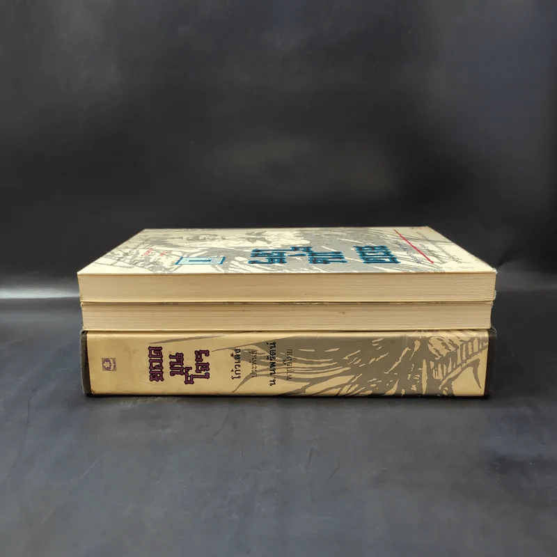 ยอดขุนโจร 2 เล่มจบ Boxset - น.นพรัตน์ รูปที่ 6