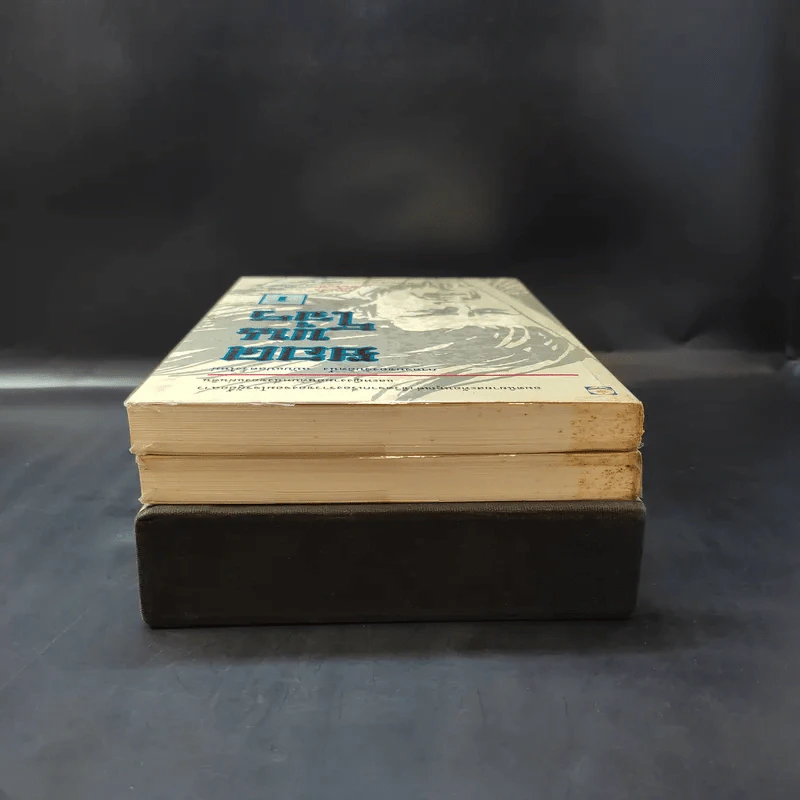 ยอดขุนโจร 2 เล่มจบ Boxset - น.นพรัตน์ รูปที่ 7