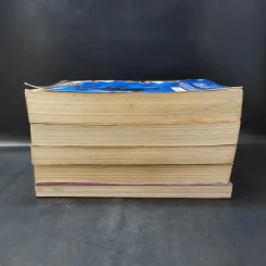 หัวขโมยแห่งบารามอส 4 เล่มจบ + The Perfect Guidebook - Rabbit รูปที่ 4