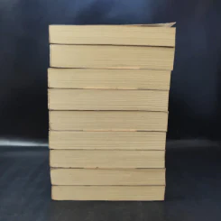 รหัสลับหลังคาโลก The Tibet Code เล่ม 1-9 รูปที่ 3