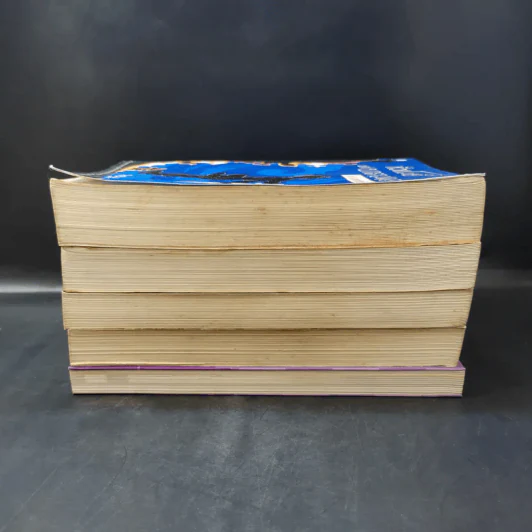 หัวขโมยแห่งบารามอส 4 เล่มจบ + The Perfect Guidebook - Rabbit รูปที่ 4