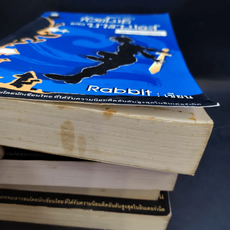 หัวขโมยแห่งบารามอส 4 เล่มจบ + The Perfect Guidebook - Rabbit รูปที่ 12