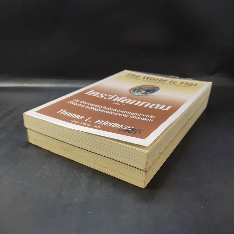 The World Is Flat ใครว่าโลกกลม เล่ม 1-2 - Thomas L. Friedman รูปที่ 7