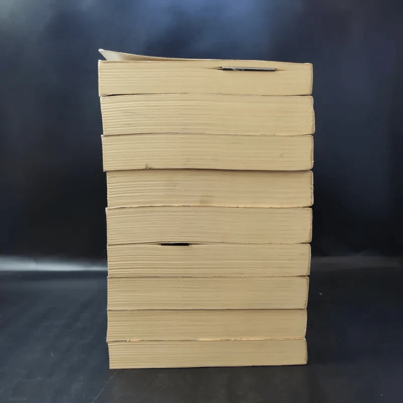 รหัสลับหลังคาโลก The Tibet Code เล่ม 1-9 รูปที่ 5
