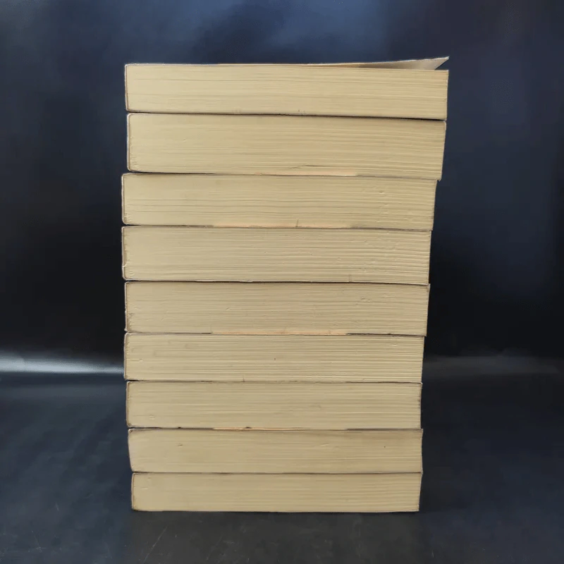 รหัสลับหลังคาโลก The Tibet Code เล่ม 1-9 รูปที่ 3