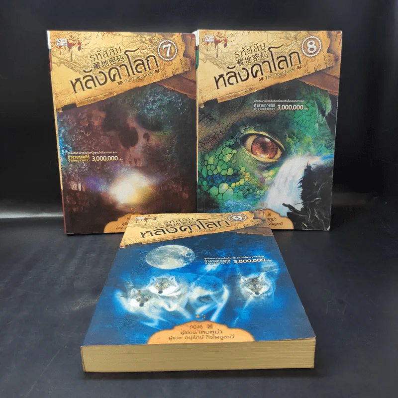 รหัสลับหลังคาโลก The Tibet Code เล่ม 1-9 รูปที่ 10