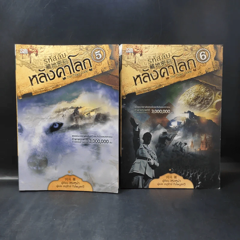 รหัสลับหลังคาโลก The Tibet Code เล่ม 1-9 รูปที่ 9