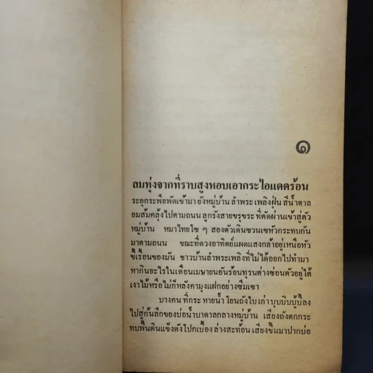 ลาบเลือด - ทรนง ศรีเชื้อ รูปที่ 10