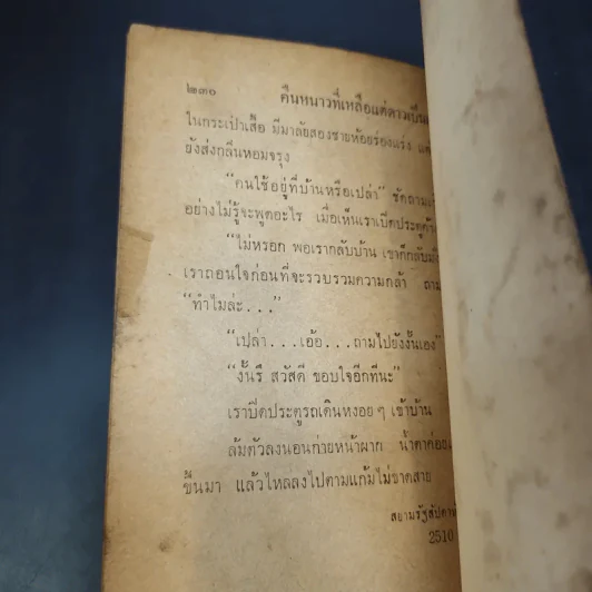 คืนหนาวที่เหลือแต่ดาวเป็นเพื่อน - สุวรรณี สุคนธา รูปที่ 12