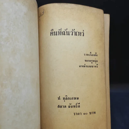 คืนที่ฉันว้าเหว่ - ป.มุสิกเกษม รูปที่ 8