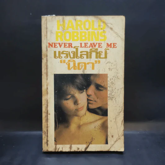 แรงโลกีย์ - นิดา แปล รูปที่ 1