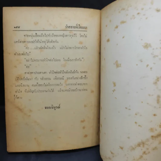 รักสลายที่เวียนนา - อรุณี อรุโณทัย รูปที่ 11