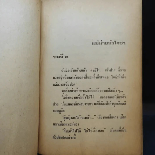 แม่ม่ายหัวใจชา - วิภาภรณ์ รูปที่ 10