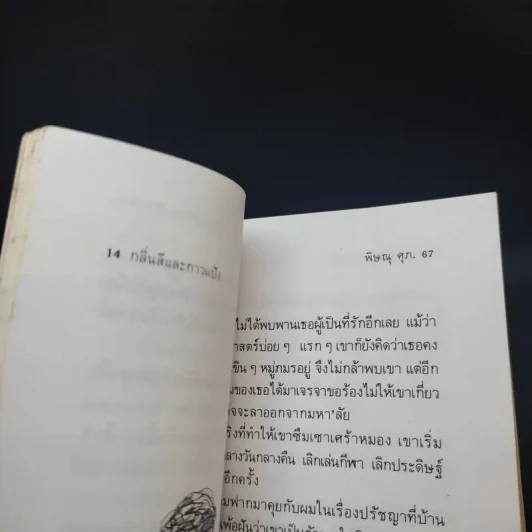 กลิ่้นสีและกาวแป้ง - พิษณุ ศุภ รูปที่ 13