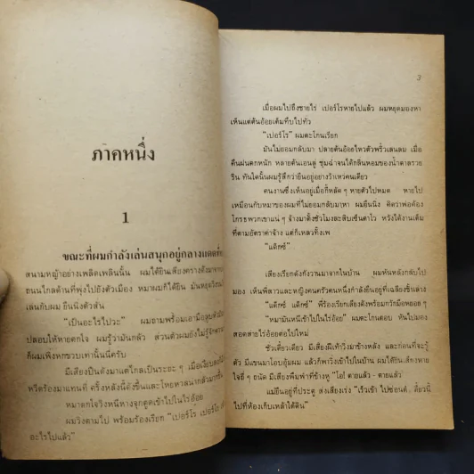 ผู้พิชิต The Adventurers - ฮาโรลด์ รอบบิ้นส์ เขียน, ป.สามโกเศศ แปล รูปที่ 10