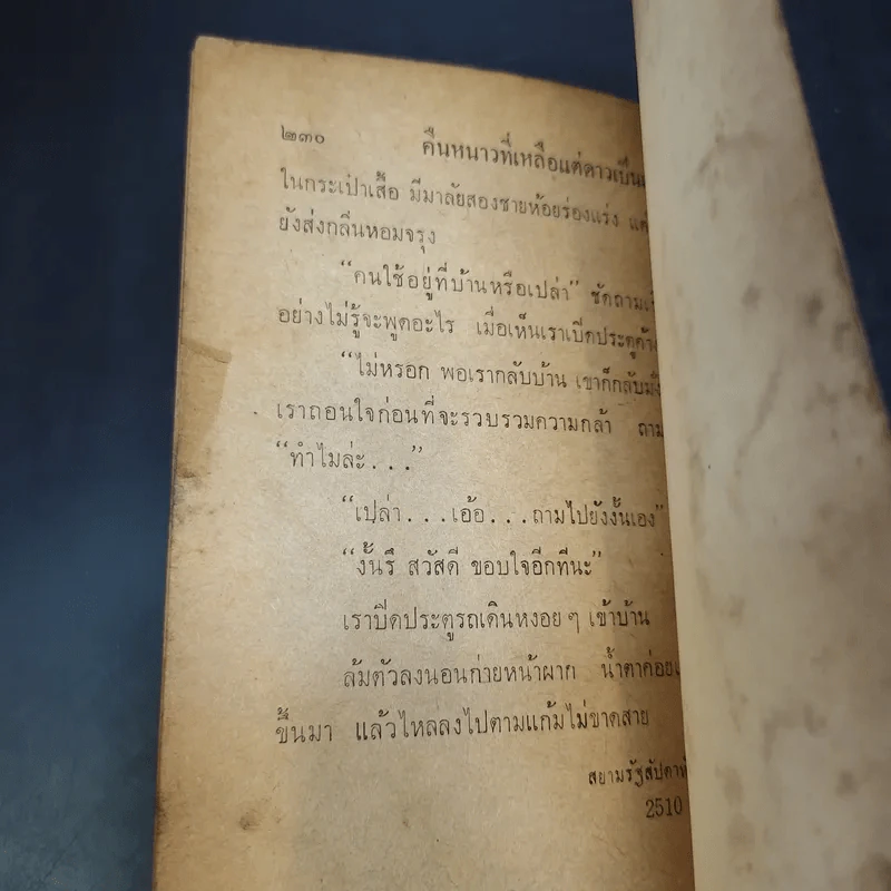 คืนหนาวที่เหลือแต่ดาวเป็นเพื่อน - สุวรรณี สุคนธา รูปที่ 12