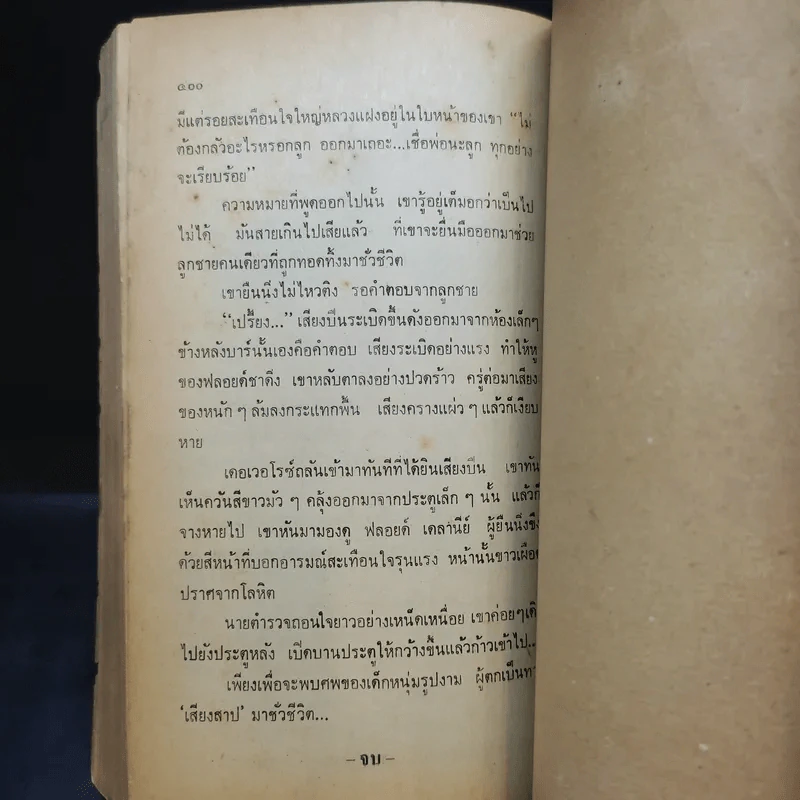เสียงสาป - นิดา แปลจาก Not Safe To Be Free รูปที่ 12