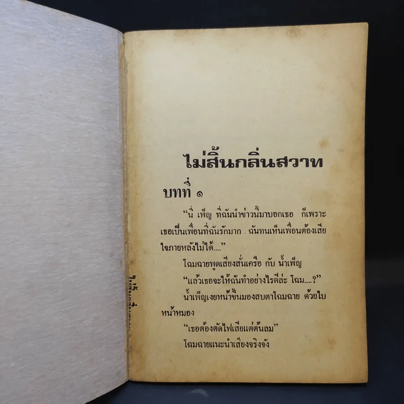 ไม่สิ้นกลิ่นสวาท - รมย์ รัชนี รูปที่ 8