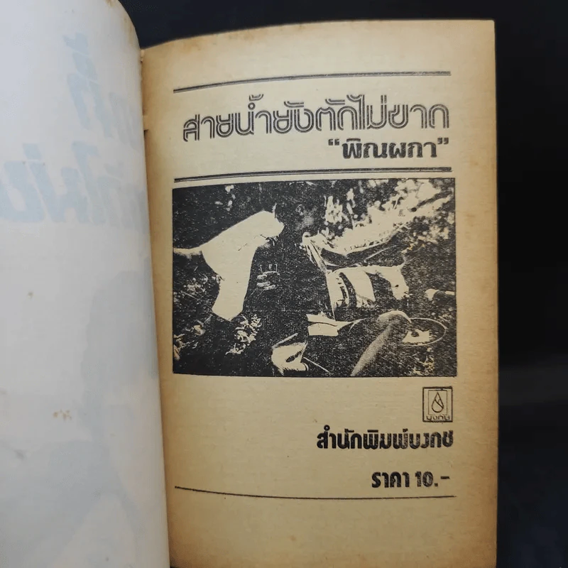 สายน้ำยังตัดไม่ขาด - พิณผกา รูปที่ 8