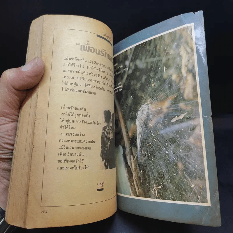แพรว สุดสัปดาห์ ปีที่ 2 ฉบับที่ 29 16 เม.ย.27 รูปที่ 9