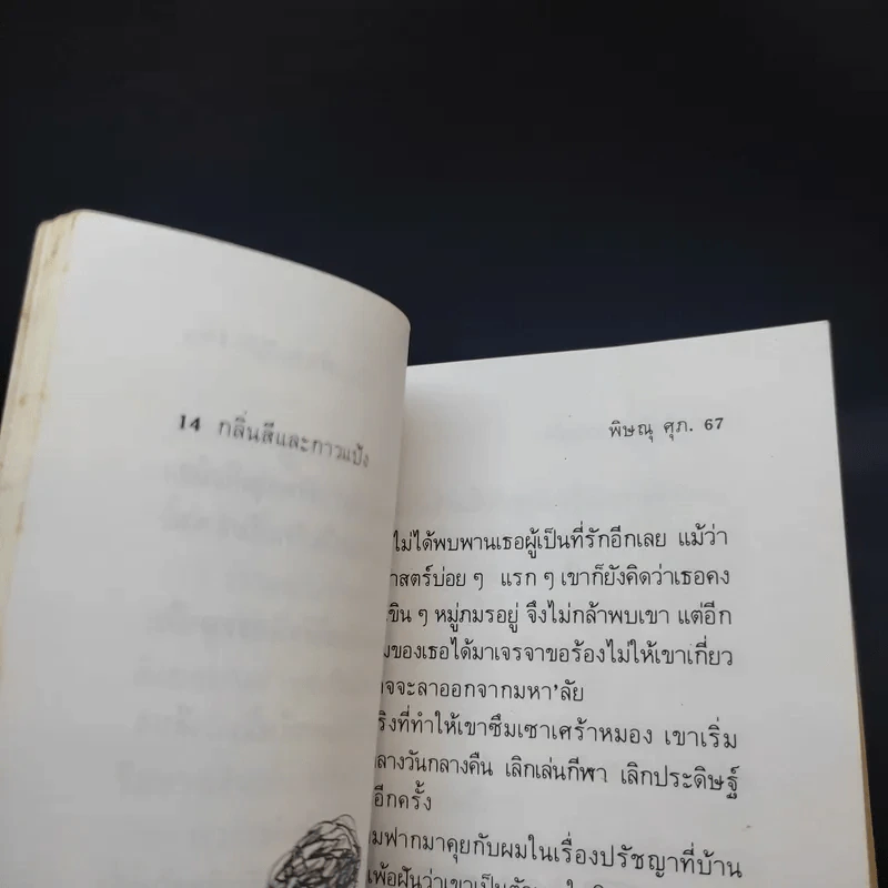 กลิ่้นสีและกาวแป้ง - พิษณุ ศุภ รูปที่ 13