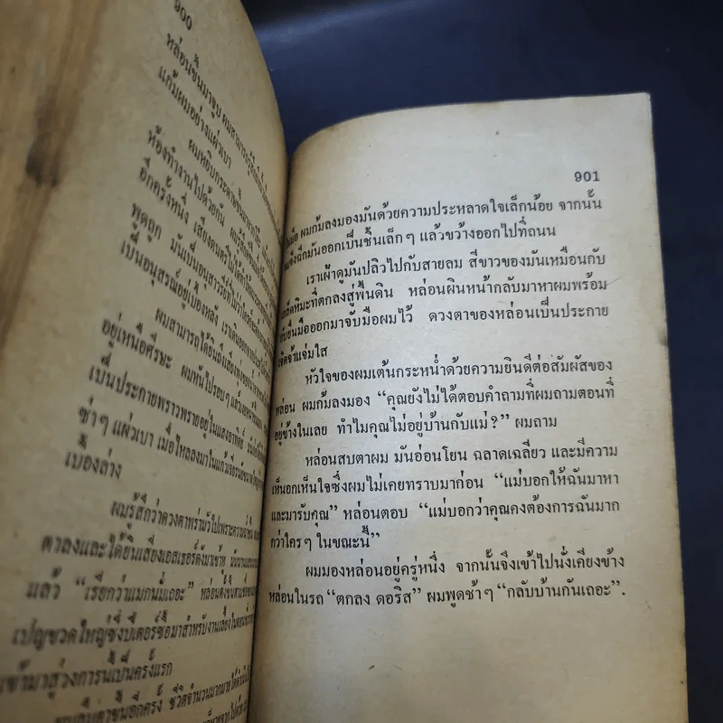 โลกมายา - ฮาโรลด์ รอบบินส์ เขียน, มุขพันธุ์ แปล รูปที่ 11
