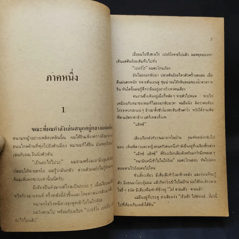ผู้พิชิต The Adventurers - ฮาโรลด์ รอบบิ้นส์ เขียน, ป.สามโกเศศ แปล รูปที่ 10
