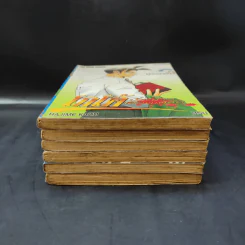 โกโต้ ประธานเลือดเดือด เล่ม 1,3,4,5,8,9 รูปที่ 3
