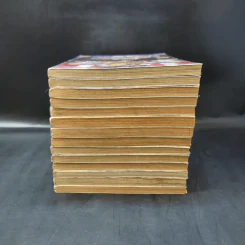 อภัยมณี ซาก้า ภาค 1 เล่ม 1,2,4-14,16 รูปที่ 3