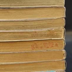 อภัยมณี ซาก้า ภาค 1 เล่ม 1,2,4-14,16 รูปที่ 6