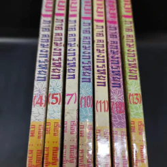 มังกรหยก ภาคลูกมังกรหยก เล่ม 4,5,7,10,11,12,13 รูปที่ 14