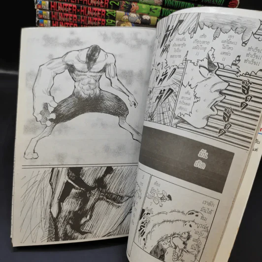 Hunter X Hunter ฮันเตอร์ X ฮันเตอร์ เล่ม 1-27 (ขาดเล่ม 4,5) รูปที่ 8