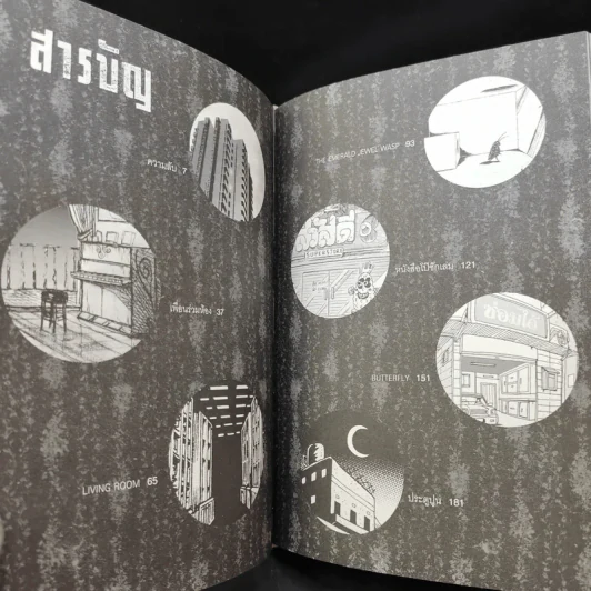 ขาวดำ - ทรงศีล ทิวสมบุญ รูปที่ 9