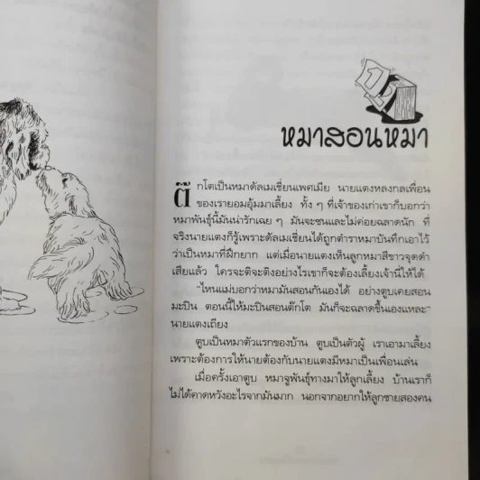 บันทึกหมอเลี้ยงหมา - พญ.ลลิตา ธีระสิริ รูปที่ 11