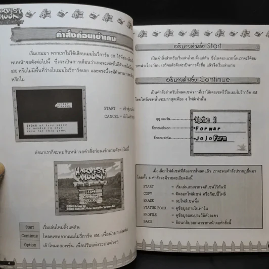 Harvest Moon Save the Homeland ภาคภาษาอังกฤษ คู่มือเฉลยเกม Play Station 2 รูปที่ 11
