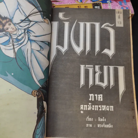 มังกรหยก ภาคลูกมังกรหยก เล่ม 4,5,7,10,11,12,13 รูปที่ 8