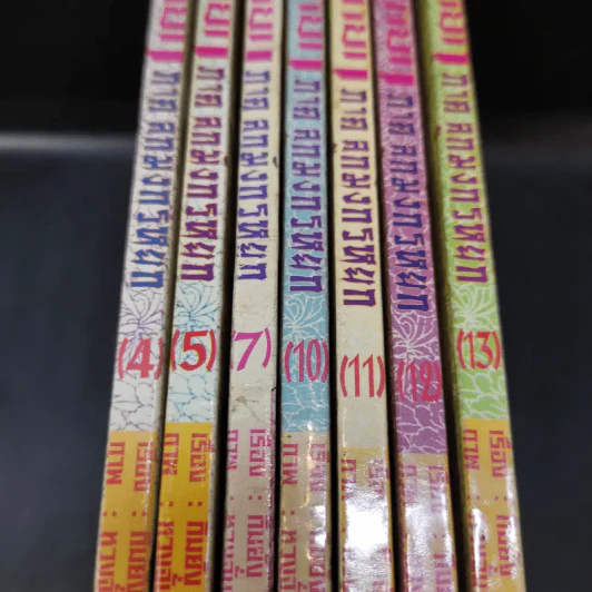 มังกรหยก ภาคลูกมังกรหยก เล่ม 4,5,7,10,11,12,13 รูปที่ 14