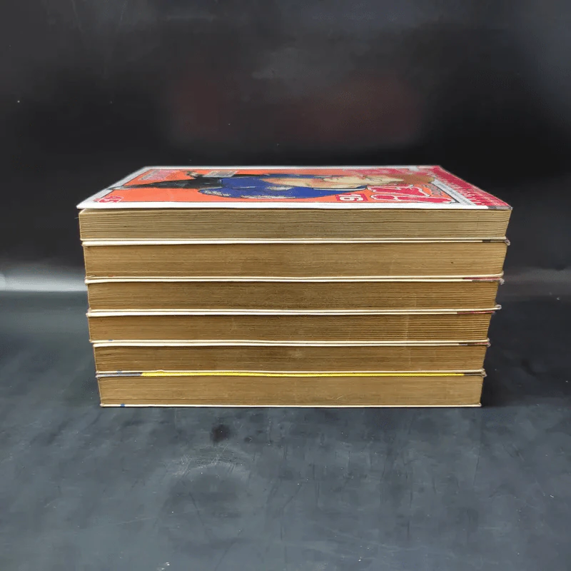 เรียกเขาว่า อีกา เล่ม 1,2,3,4,6,16 รูปที่ 4